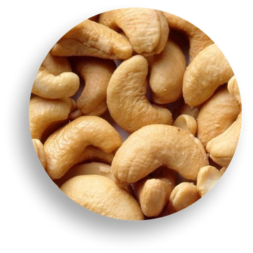 Cashew