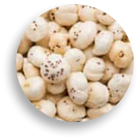 Makhana